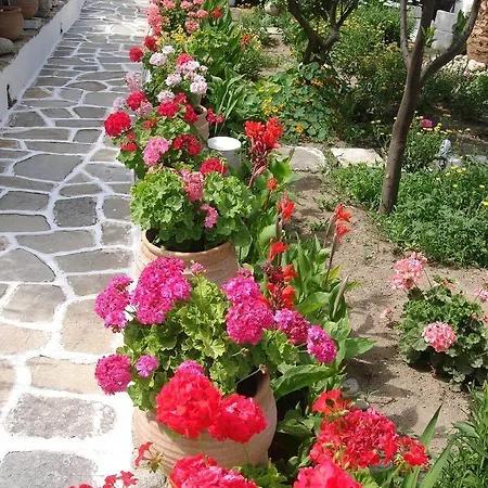 Philippi Otel Mykonos Town